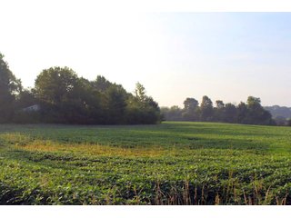 Kosciusko County, Indiana farmland - REAL ESTATE AUCTION - 91+/- ACRES IN 4 TRACTS IN KOSCIUSKO COUNTY, INDIANA